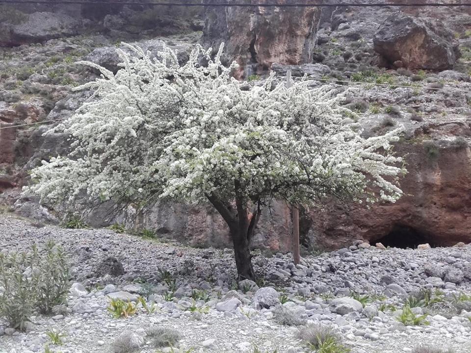 Апартаменты Faragi Айя-Румели Экстерьер фото